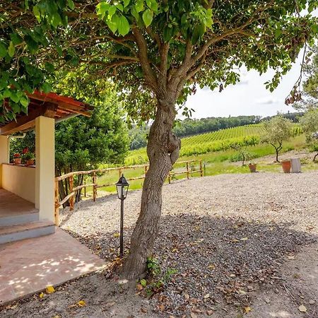 Tenuta Poggio Ai Mandorli Greve in Chianti Luaran gambar