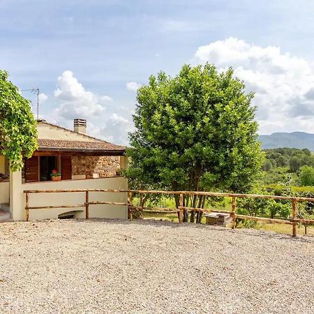 Tenuta Poggio Ai Mandorli Greve in Chianti Luaran gambar
