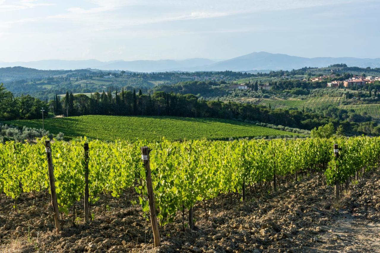 Tenuta Poggio Ai Mandorli Greve in Chianti Luaran gambar