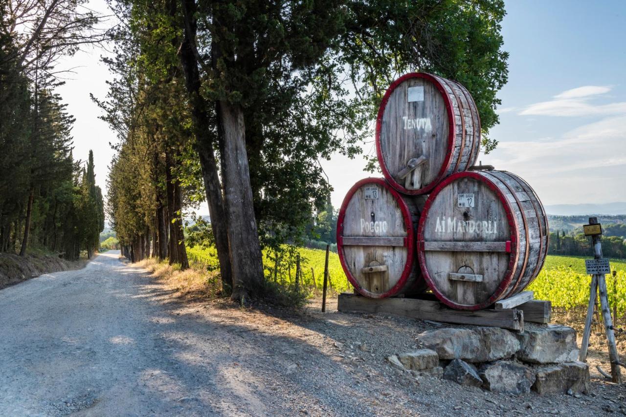 Tenuta Poggio Ai Mandorli Greve in Chianti Luaran gambar